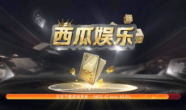 吃瓜娱乐游戏发行人,揭秘吃瓜娱乐游戏发行人的幕后故事