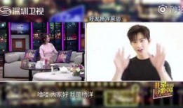 杨洋爆料八卦视频大全集,揭秘娱乐圈幕后真相，独家视频大揭秘